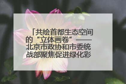 共绘首都生态空间的“立体画卷”——北京市政协和市委统战部聚焦促进绿化彩化美化生态空间建设联合协商议政