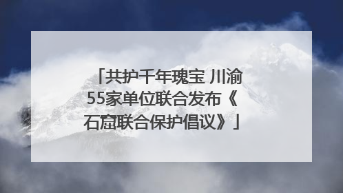 共护千年瑰宝 川渝55家单位联合发布《石窟联合保护倡议》
