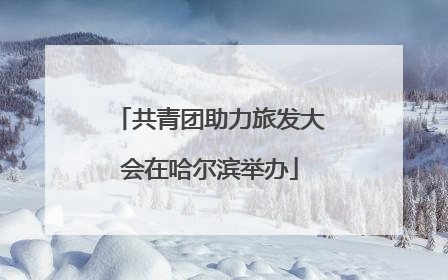 共青团助力旅发大会在哈尔滨举办