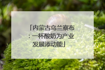 内蒙古乌兰察布：一杯酸奶为产业发展添动能