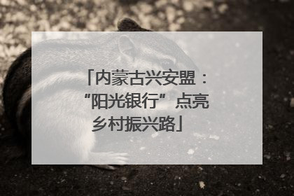 内蒙古兴安盟：“阳光银行”点亮乡村振兴路