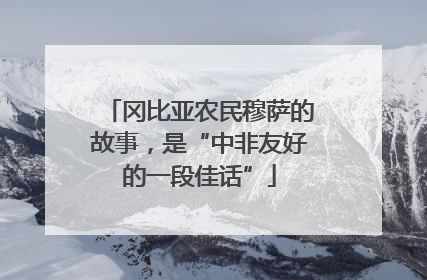 冈比亚农民穆萨的故事，是“中非友好的一段佳话”