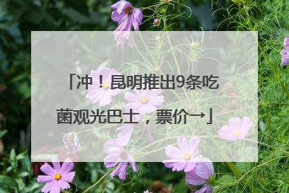 冲！昆明推出9条吃菌观光巴士，票价→
