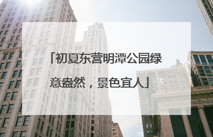 初夏东营明潭公园绿意盎然，景色宜人