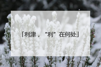 利津，“利”在何处