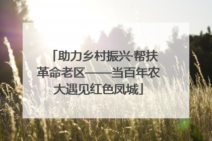 助力乡村振兴·帮扶革命老区——当百年农大遇见红色凤城