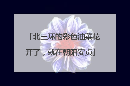 北三环的彩色油菜花开了，就在朝阳安贞