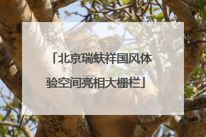 北京瑞蚨祥国风体验空间亮相大栅栏