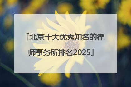 北京十大优秀知名的律师事务所排名2025