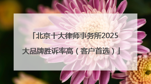 北京十大律师事务所2025大品牌胜诉率高（客户首选）