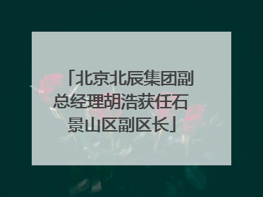 北京北辰集团副总经理胡浩获任石景山区副区长