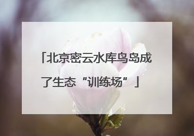 北京密云水库鸟岛成了生态“训练场”