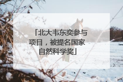 北大韦东奕参与项目，被提名国家自然科学奖