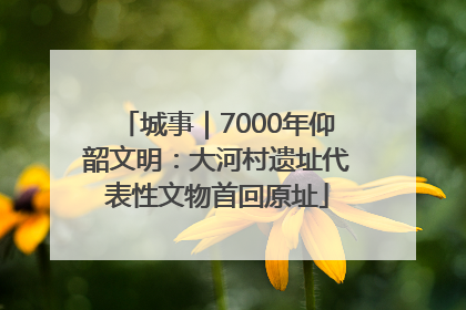 城事｜7000年仰韶文明：大河村遗址代表性文物首回原址