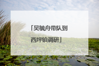吴毓舟带队到西坪镇调研