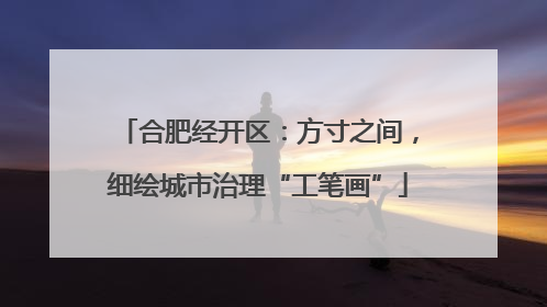 合肥经开区：方寸之间，细绘城市治理“工笔画”