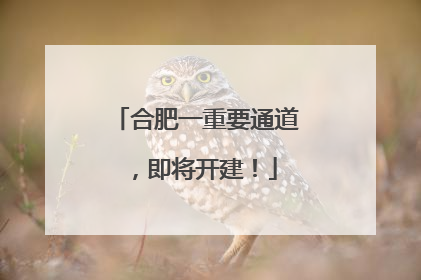 合肥一重要通道，即将开建！