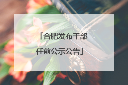 合肥发布干部任前公示公告