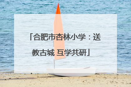 合肥市杏林小学：送教古城 互学共研
