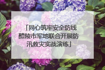 同心筑牢安全防线 醴陵市军地联合开展防汛救灾实战演练