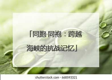 同胞·同袍：跨越海峡的抗战记忆