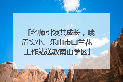 名师引领共成长，峨眉实小、乐山市白兰花工作站送教南山学区