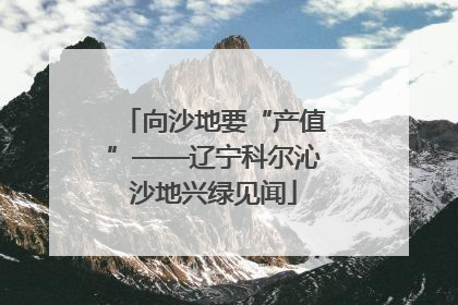 向沙地要“产值”——辽宁科尔沁沙地兴绿见闻