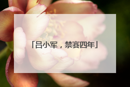 吕小军，禁赛四年