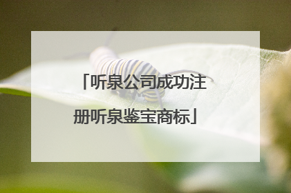 听泉公司成功注册听泉鉴宝商标