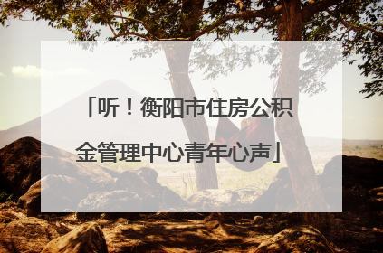 听！衡阳市住房公积金管理中心青年心声