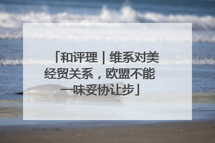 和评理｜维系对美经贸关系，欧盟不能一味妥协让步