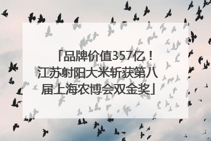 品牌价值357亿！江苏射阳大米斩获第八届上海农博会双金奖