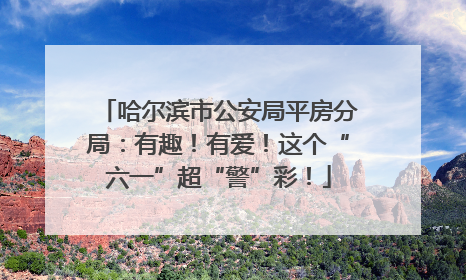 哈尔滨市公安局平房分局：有趣！有爱！这个“六一”超“警”彩！