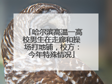 哈尔滨高温一高校男生在走廊和操场打地铺，校方：今年特殊情况