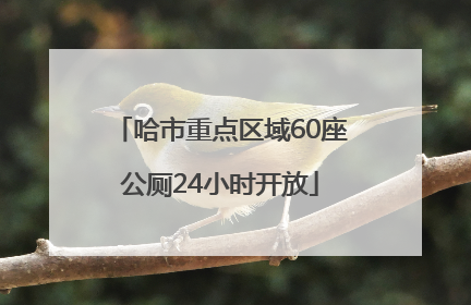 哈市重点区域60座公厕24小时开放