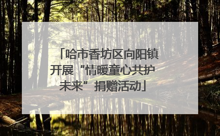 哈市香坊区向阳镇开展“情暖童心共护未来”捐赠活动
