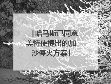 哈马斯已同意美特使提出的加沙停火方案