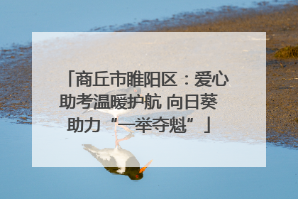 商丘市睢阳区：爱心助考温暖护航 向日葵助力“一举夺魁”
