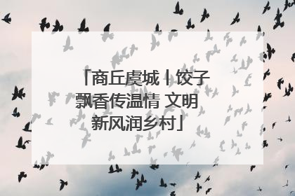 商丘虞城丨饺子飘香传温情 文明新风润乡村