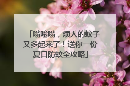 嗡嗡嗡，烦人的蚊子又多起来了！送你一份夏日防蚊全攻略