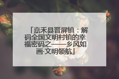 嘉禾县晋屏镇：解码全国文明村镇的幸福密码之——乡风如画·文明领航