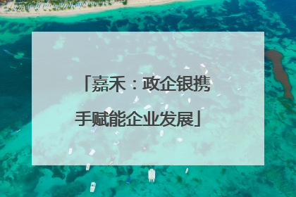 嘉禾：政企银携手赋能企业发展