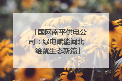 国网南平供电公司：绿电赋能闽北 绘就生态新篇