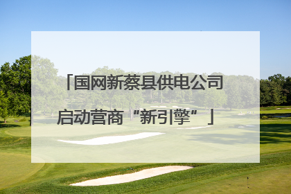 国网新蔡县供电公司启动营商“新引擎”
