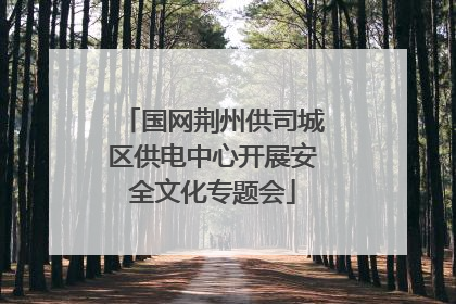 国网荆州供司城区供电中心开展安全文化专题会