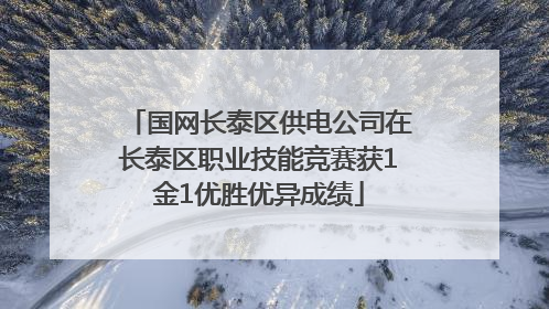 国网长泰区供电公司在长泰区职业技能竞赛获1金1优胜优异成绩