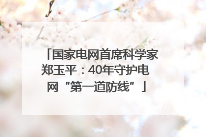 国家电网首席科学家郑玉平：40年守护电网“第一道防线”