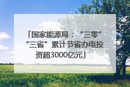 国家能源局：“三零”“三省”累计节省办电投资超3000亿元