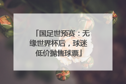 国足世预赛：无缘世界杯后，球迷低价抛售球票
