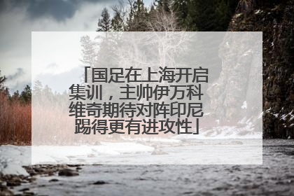 国足在上海开启集训，主帅伊万科维奇期待对阵印尼踢得更有进攻性
